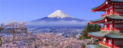 تورهای ژاپن