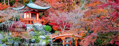 تورهای کره جنوبی