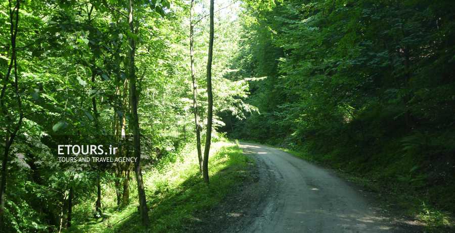 تور گردشگری شیرگاه یک روزه