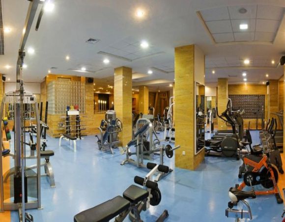 مجموعه ورزشی